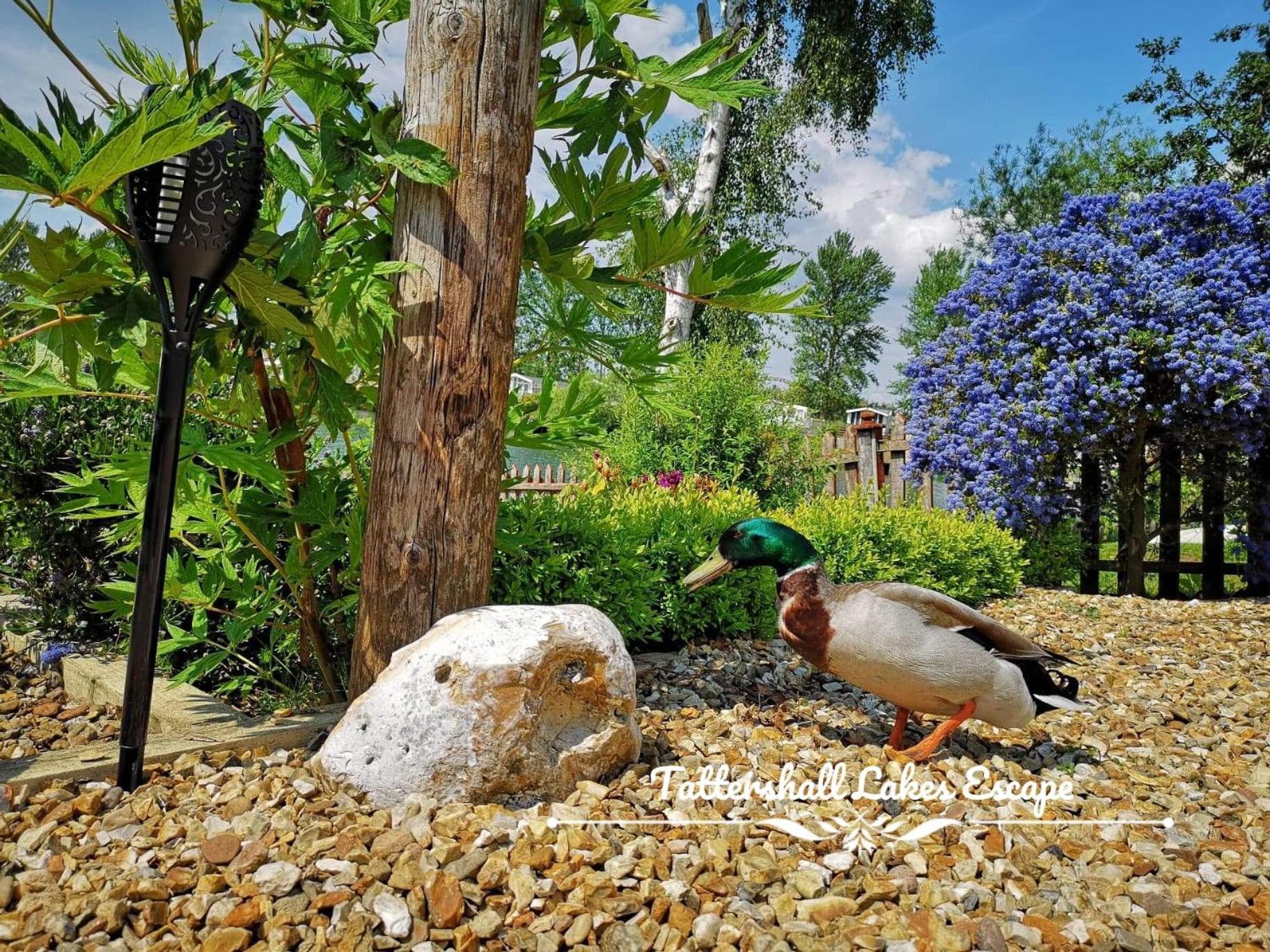 Meridian Tattershall Lakes Escape - Lakeside Lodge Caravan With A Fishing Peg Luxury Hot Tub Exteriör bild